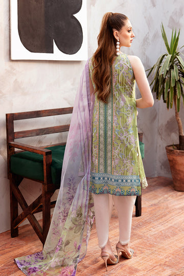 Ramsha L-904 Online Shopping